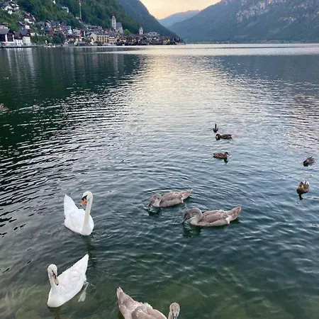 Lakeside 4 - Mit Balkon