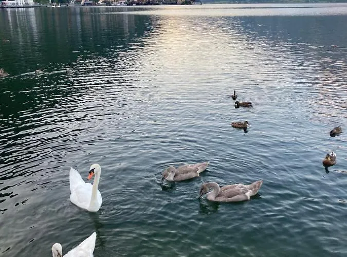 Lakeside 4 - Mit Balkon